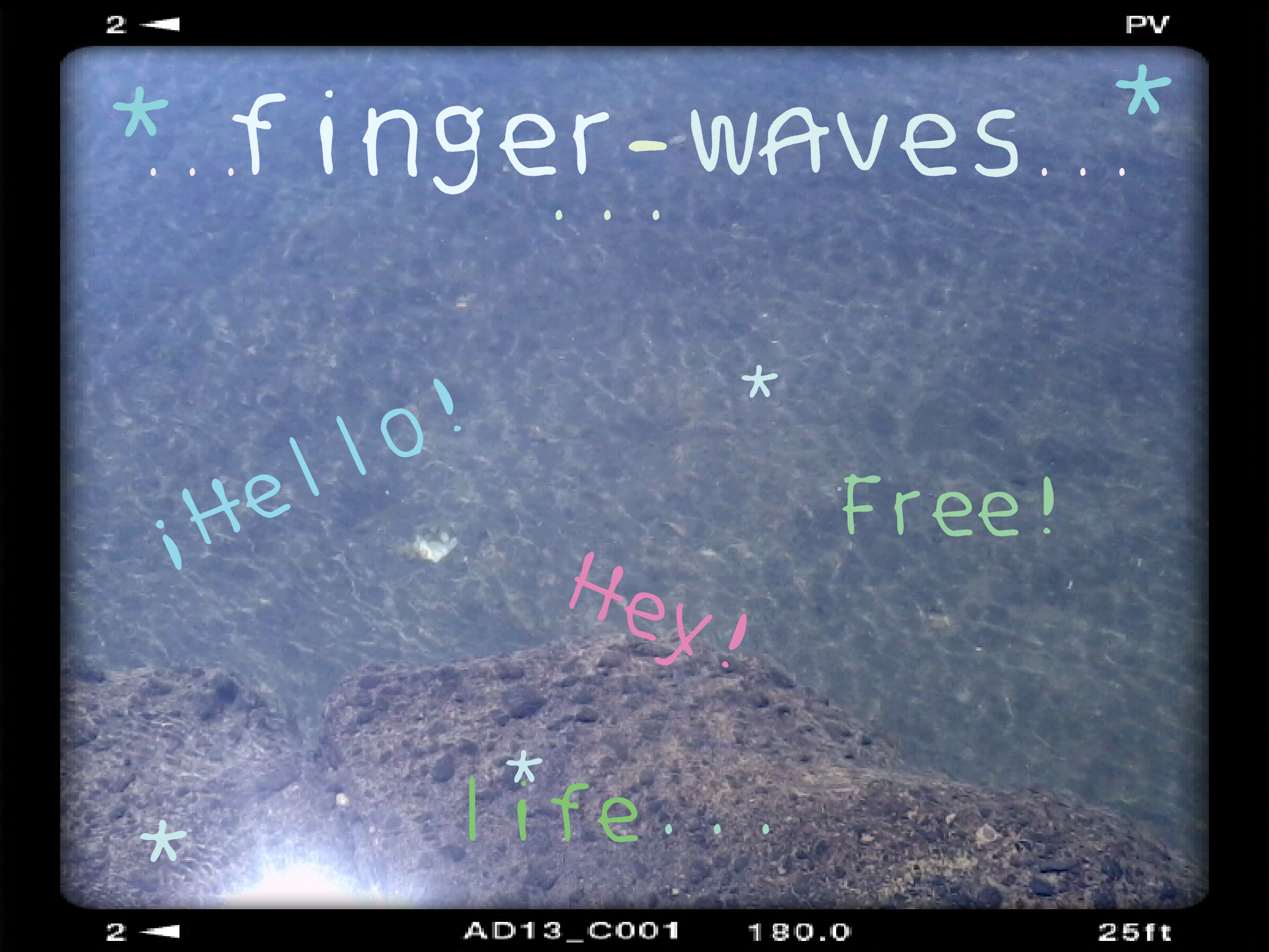 finger waves